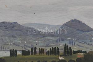 Molnár C. Pál (1894-1981): Kilátás Tördemic felé (Badacsonytördemic). Olaj, falemez, jelzett. Hátold...