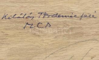 Molnár C. Pál (1894-1981): Kilátás Tördemic felé (Badacsonytördemic). Olaj, falemez, jelzett. Hátold...