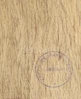 Molnár C. Pál (1894-1981): Kilátás Tördemic felé (Badacsonytördemic). Olaj, falemez, jelzett. Hátold...