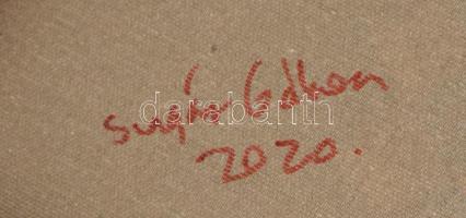 Sugár Gábor (1976-): Cica. Akril, foamix, vászon, jelzett, hátoldalán autográf felirattal és a művés...