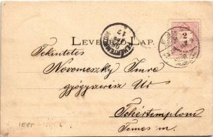 1898 Eger, Látkép, Líceum, Székesegyház, Érseki rezidencia, Ferencrendiek temploma. Art Nouveau, flo...