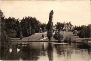 1917 Mozsgó (Szigetvár), Biedermann kastély (felületi sérülés / surface damage)