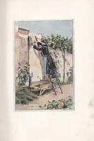 Halévy, Ludovic: 
L'abbé Constantin. Illustré par madame Madeleine Lemaire.
Paris, 1888. Calm...