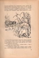Honti Jenő: Bolyongások a természet birodalmában. Györgyfi György rajzaival.
Budapest, (1940). Szen...