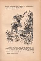 Honti Jenő: Bolyongások a természet birodalmában. Györgyfi György rajzaival.
Budapest, (1940). Szen...