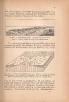Cholnoky Jenő: 
Balaton. 120 képpel.
Budapest, [1937]. Franklin-Társulat Magyar Irodalmi Intézet é...