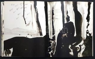 Polgár Csaba: 
Határesetek. [Képzőművészeti album.] (Dedikált.)
[Budapest], (2012). Codex Print Kf...