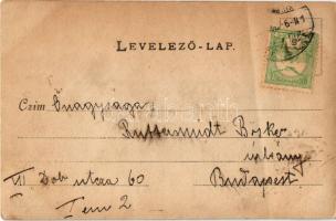 Márkus Emília (1860-1949) magyar színésznő (fa)