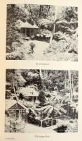 Gubányi Károly (1867-1935): Gubányi Károly: Ausztrália. Magyar Földrajzi Társaság Könyvtára. Bp., [1...
