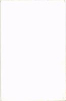 Magyar katonatiszt kitüntetésekkel / Hungarian officer with medals. photo (non PC)