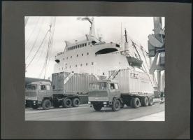 5 db albumlapra ragasztott fotó teherautókról és buszokról, 9×9 és 10×15 cm közötti méretekben