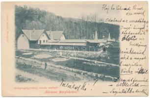 1901 Menyháza, Monyásza, Moneasa; Hidegvízgyógyintézet, uszoda, napfürdő. Női uszoda. Divald Károly kiadása / women's swimming pool, spa (EK)