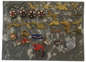 31db-os, főleg katonai, fegyvernemi jelvényből álló tétel kartonlapon, közte 1950 k. "Csepel" zománcozott bronz jelvény, 1950. "Közlekedésért 1947-1950" zománcozott bronz jelvény, 1960 k. "Ikarus" zománcozott fém jelvény + NDK DN "Motorsport" zománcozott bronz jelvény T:vegyes