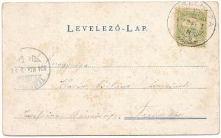 1904 Aurélháza, Rauti (Temes); üzlet. Kunstädter Vilmos kiadása / shop. Art Nouveau, litho (EB)