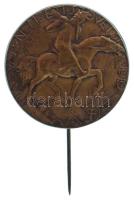 1919. "Magyar Nemzeti Szövetség 1919" irredenta szervezet bronz jelvénye. Szign.: Szamosi Soós Vilmos (1885-1972) (27mm) T:XF