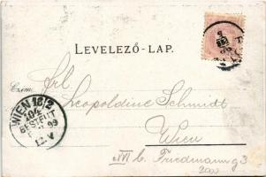 1899 Óváralja, Nezbudská Lúcka, Óvár, Stary Hrad; Ó-vár Ruttka közelében. Moskóczi Ferencné kiadása ...