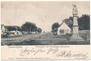 1903 Temesújfalu, Temesvár-Újfalu, Neudorf; Kreutzgasse mit Dreifaltigkeit-Monument / Kereszt utca, Szentháromság szobor. Sigmund Heimann kiadása (Lippa) / street view, Holy Trinity statue (fl)