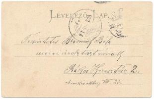 1902 Lugos, Lugoj; Széchenyi utca, Népbank palota, Strasser kávéház, üzletek. Auspitz Adolf kiadása ...