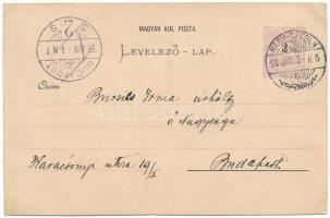 1898 Nagyszeben, Hermannstadt, Sibiu; Haus des Siebenbürgischen Vereins für Naturwissenschaften, Kle...