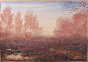 Nemes Tibor (1955-): Az ősz színei. Akvarell, papír, jelezve jobbra lent. 35×49 cm