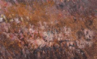 Nemes Tibor (1955-): Az ősz színei. Akvarell, papír, jelezve jobbra lent. 35×49 cm