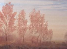 Nemes Tibor (1955-): Az ősz színei. Akvarell, papír, jelezve jobbra lent. 35×49 cm