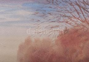 Nemes Tibor (1955-): Az ősz színei. Akvarell, papír, jelezve jobbra lent. 35×49 cm