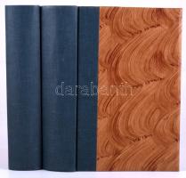 A vízió állandóan változik. / The vision is always changing. Lossonczy Tamás születésének 100. évfor...