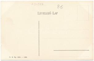 Kolozsvár, Cluj; Szamos részlet, híd, malom. D.K. Bp. 1906.-1160. / Somes riverside, bridge, mill (k...