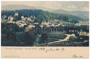 1908 Borszék, Borsec; látkép, nyaralók. Soós kiadása / general view, villas (EK)