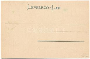 1908 Borszék, Borsec; látkép, nyaralók. Soós kiadása / general view, villas (EK)