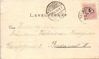 1899 Selmecbánya, Schemnitz, Banská Stiavnica; Fő tér, Deák Ferenc utca, Takáts Miklós üzlete, piac....