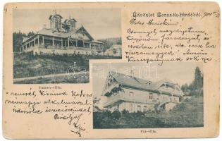 1904 Borszék, Borsec; Emmausz villa (Cziffra villa), Pax villa / villas (kopott sarkak / worn corners)