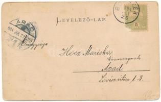 1904 Borszék, Borsec; Emmausz villa (Cziffra villa), Pax villa / villas (kopott sarkak / worn corner...