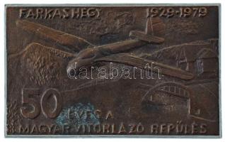 1979. "50 éves a magyar vitorlázó repülés - Farkashegy 1929-1979" egyoldalas, öntött bronz emlékplakett (61x99,5mm) T:AU patina