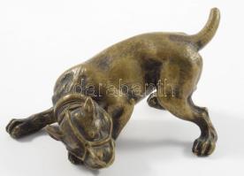 Harci kutya bronz szobra, részletgazdag kidolgozású, 11x5,5 cm