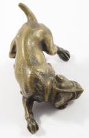 Harci kutya bronz szobra, részletgazdag kidolgozású, 11x5,5 cm