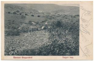 1912 Magyarád, Magyarát, Maderat; Nagyúri hegy, szőlő / hill, vineyards (EK)