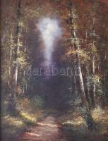 Négyesi Péter (XX. sz.): Erdei fények. Olaj, vászon. Jelezve jobbra lent. Dekoratív fakeretben. 45x35 cm.