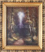 Négyesi Péter (XX. sz.): Erdei fények. Olaj, vászon. Jelezve jobbra lent. Dekoratív fakeretben. 45x3...