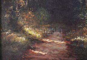 Négyesi Péter (XX. sz.): Erdei fények. Olaj, vászon. Jelezve jobbra lent. Dekoratív fakeretben. 45x3...