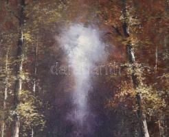 Négyesi Péter (XX. sz.): Erdei fények. Olaj, vászon. Jelezve jobbra lent. Dekoratív fakeretben. 45x3...