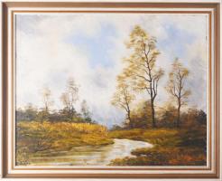 Olvashatatlan jelzéssel, XX. sz. második fele: Vízparti táj. Olaj, farost. Fakeretben. Hátoldalán müncheni képkeretező raglapjával. 45x57 cm.
