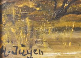 Olvashatatlan jelzéssel, XX. sz. második fele: Vízparti táj. Olaj, farost. Fakeretben. Hátoldalán mü...