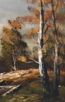 Olvashatatlan (Smith?) jelzéssel, XX. sz. vége: Vízparti táj. Olaj, vászon. Dekoratív, sérült fakere...