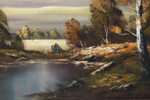 Olvashatatlan (Smith?) jelzéssel, XX. sz. vége: Vízparti táj. Olaj, vászon. Dekoratív, sérült fakere...