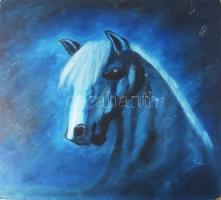 Olvashatatlan jelzéssel: Lóportré. Olaj, farost. Hátoldalán virágzó rét. Apró sérülésekkel. 69x69 cm.