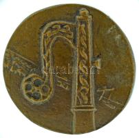 Tóth Sándor (1933-2019) DN "Agnuscoop kiváló juhász - Szentes" kétoldalas öntött bronz pla...