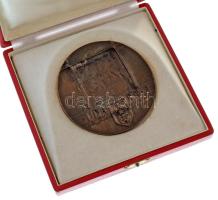 Ligeti Erika (1934-2004) DN "Földes Ferenc-díj Budapest" kétoldalas, öntött bronz emlékére...