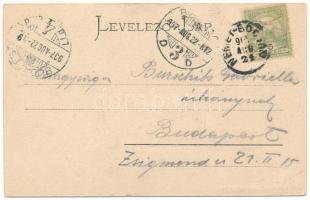 1907 Vaskoh, Vaskóh, Coh, Vascau; látkép. Rosner Adolf kiadása / general view (EK)